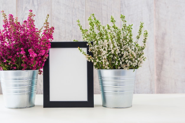 Free Photo white photo frame between the pink and white flowers in an aluminum pot