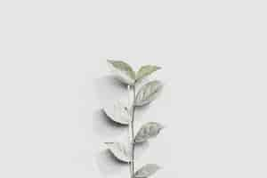 Free photo white plant branch on a gray brick wall in natural light background