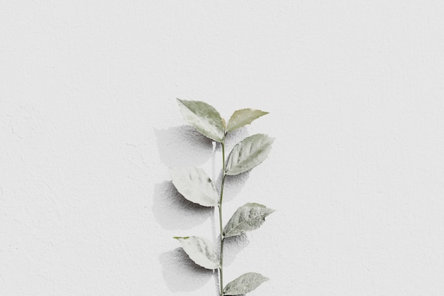 Free Photo white plant branch on a gray brick wall in natural light background