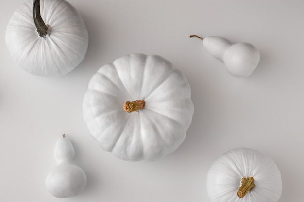 White pumpkin still life above view