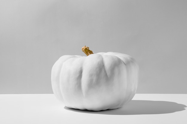 Free Photo white pumpkin with white background still life