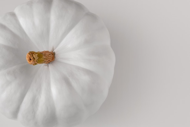 Free photo white pumpkin with white background still life