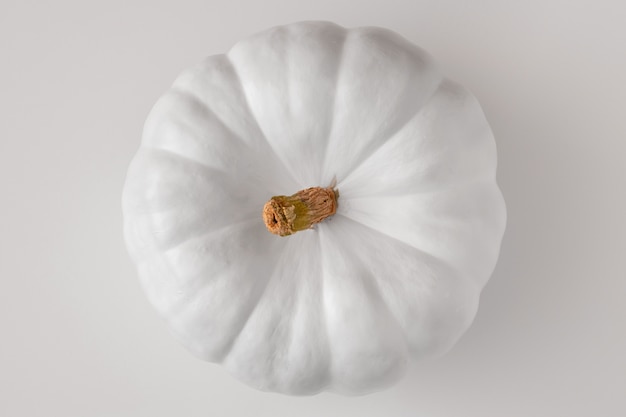 Free Photo white pumpkin with white background top view