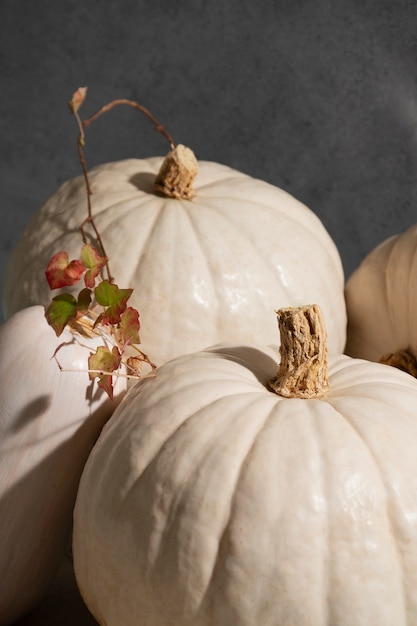 White pumpkins arrangement high angle