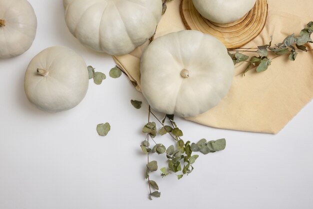 White pumpkins arrangement still life top view