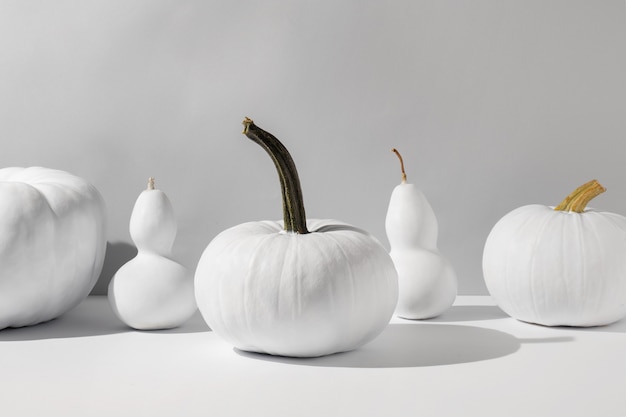 Free photo white pumpkins assortment still life