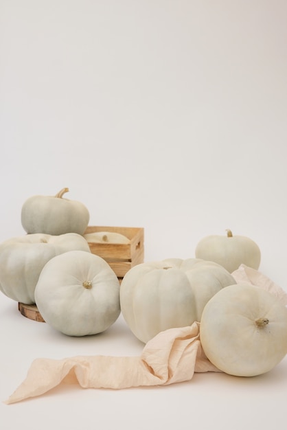 Free photo white pumpkins and box assortment