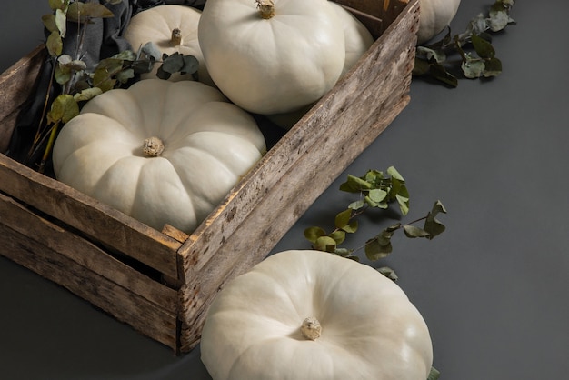 Free photo white pumpkins in box still life high angle