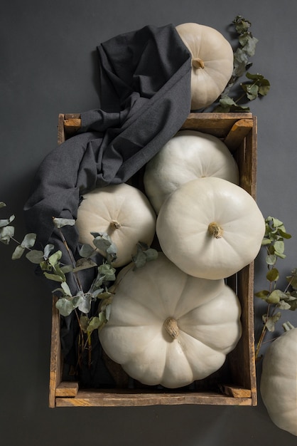 Free photo white pumpkins in box still life top view