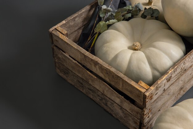 White pumpkins in box still life