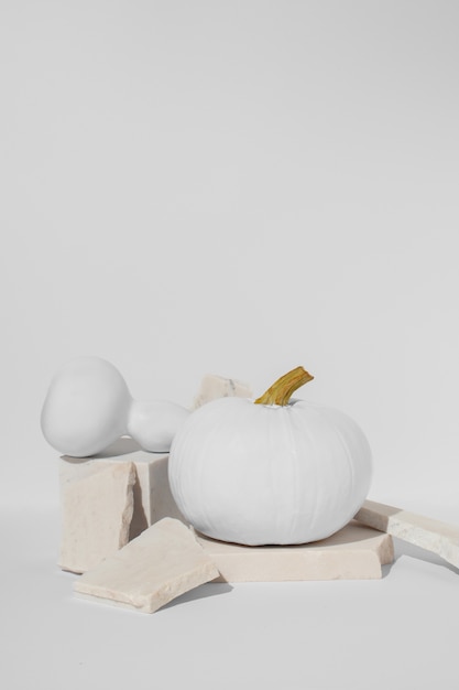 Free Photo white pumpkins in studio arrangement