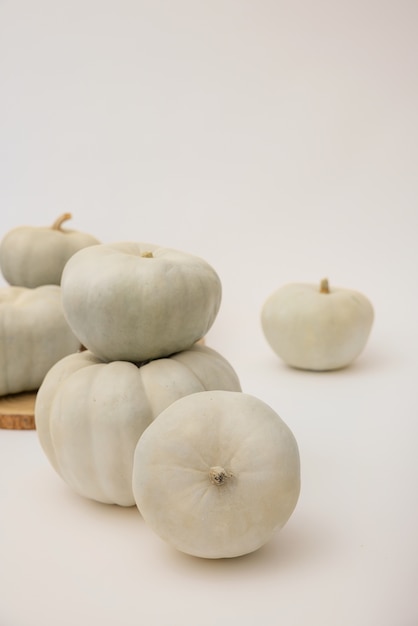 Free Photo white pumpkins and white background