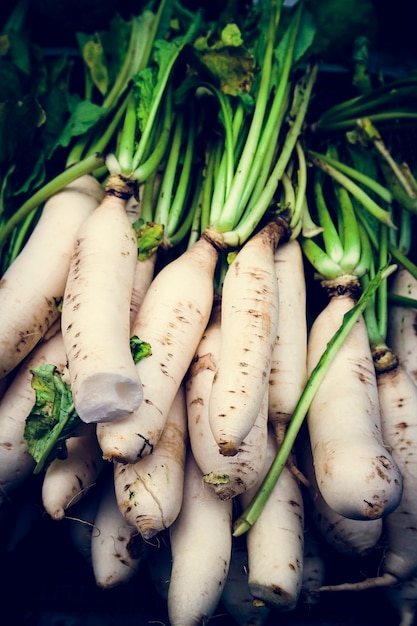 Free photo white radish carrot vegetable food