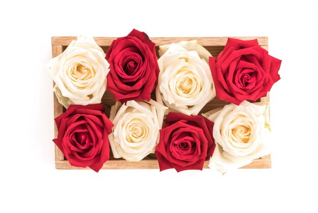 white and red rose on white