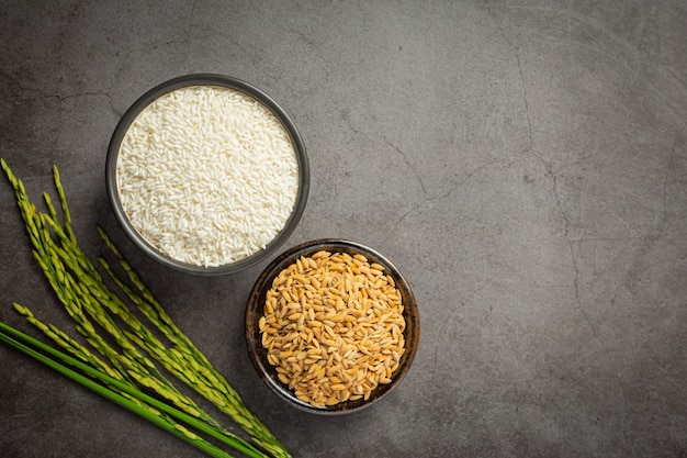 White rice and paddy rice in small bowl with rice plant on dark floor