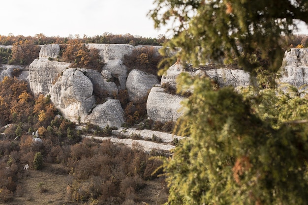 Free Photo white rock hills and green trees