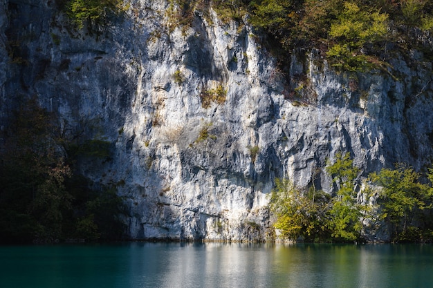 Free photo white rocks covered with trees near the plitvice lake in croatia