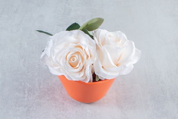 White rose in a bowl , on the white background.