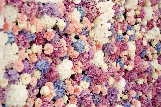 White roses and pink hydrangeas make beautiful flower wall 