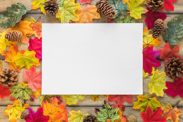 Free Photo white sheet between foliage and snags 