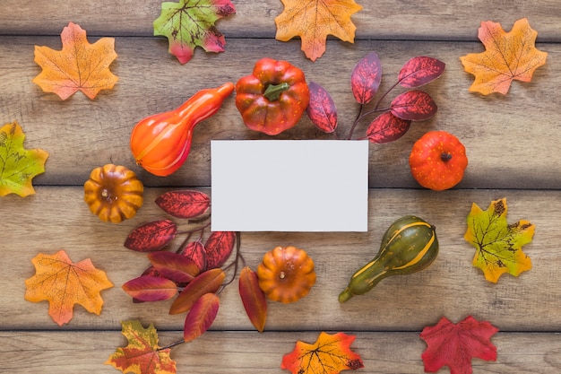 Free Photo white sheet between leaves and vegetables