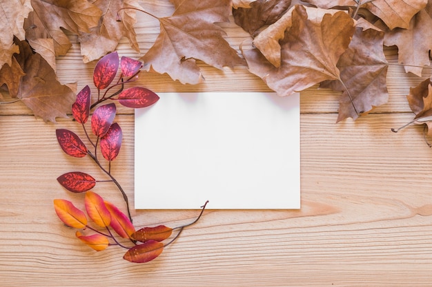 Free Photo white sheet between leaves 