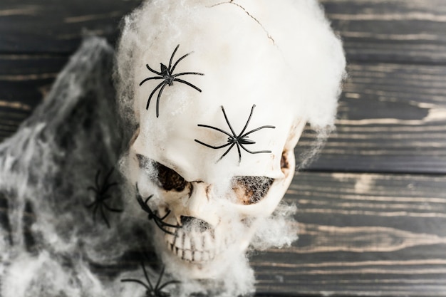 Free Photo white skull with spiders in wadding