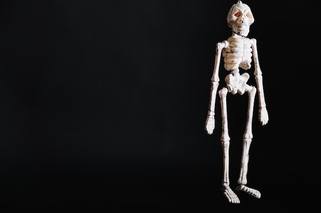 White small skeleton