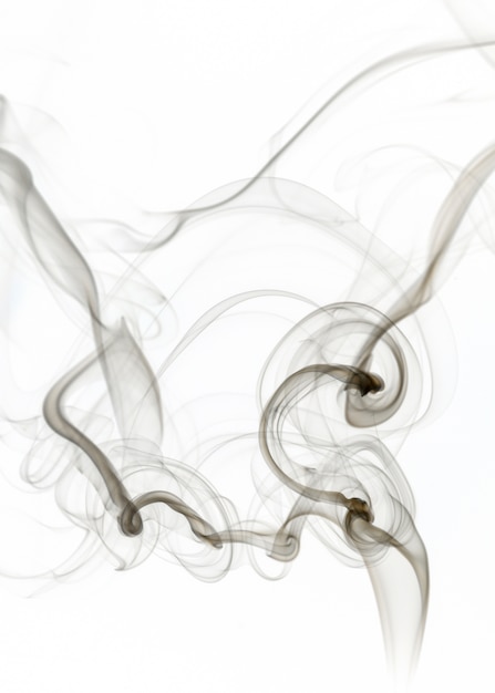 Free Photo white smoke collection on black background