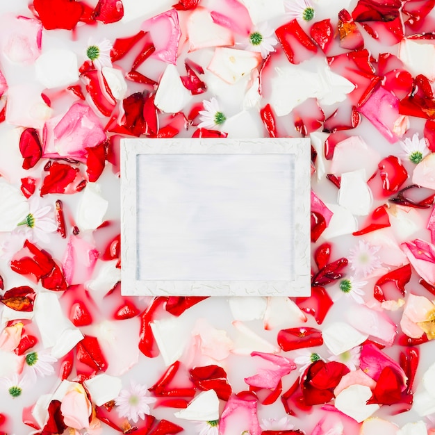 Free Photo white square frame surrounded by flower petals