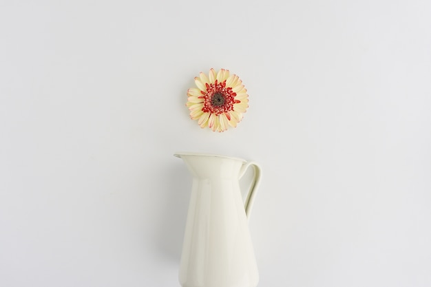 Free Photo white surface with flower and vase