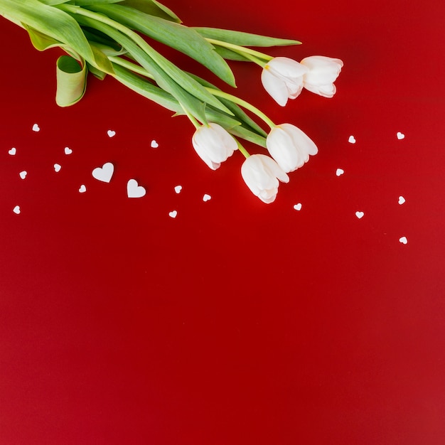 Free Photo white tulips with small hearts 