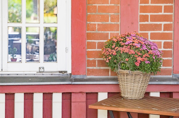 White window and flowers.