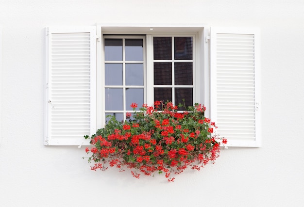 White window and flowers.