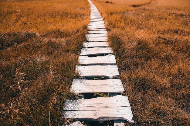 White wooden pathway between brown grass field during daytime