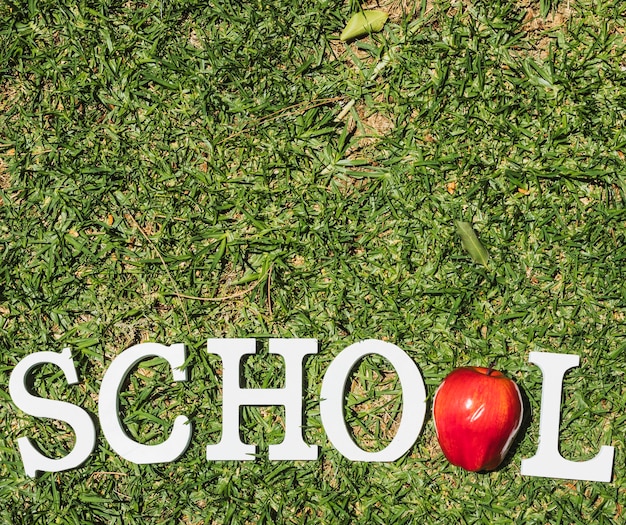 Free photo white word school on grass