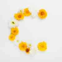 Free photo white and yellow flowers arch on white background