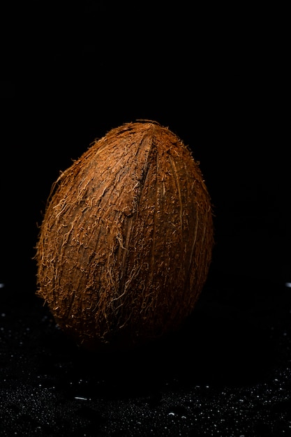 Free photo whole coconut on a black