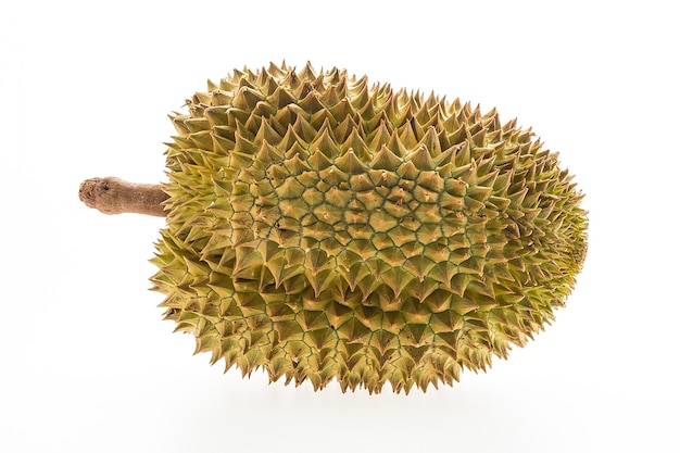 Whole durian on white background