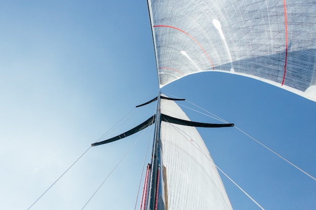 Free Photo wide angle photo of two sails full of strong wind