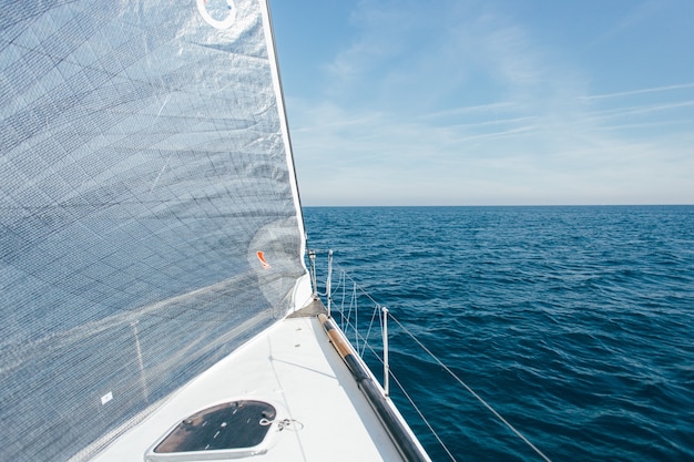 Free Photo wide angle photo of two sails full of strong wind