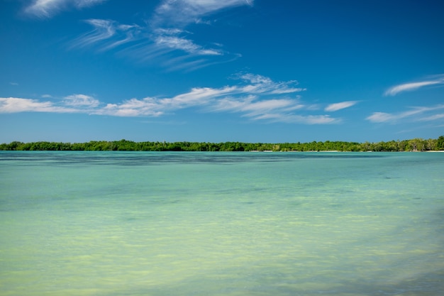 Free photo wide angle shot of a beach under a clear blue sky