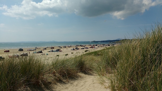 Free photo wide angle shot of a beach with parked cars on a cloudy day