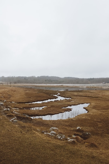 Free photo wide angle shot of a dry landscape full of bodies of water under a cloudy sky