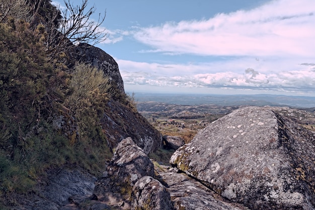 Wide angle shot of a mountain field full of rocks and twigs