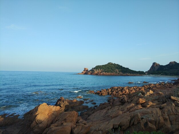 Wide angle shot of the ocean surrounded by mountains and twigs growing on them