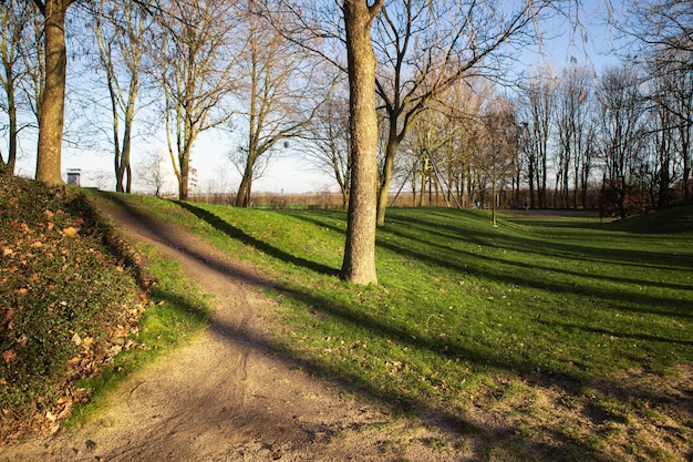 Free Photo wide angle shot of a park surrounded by trees during daytime