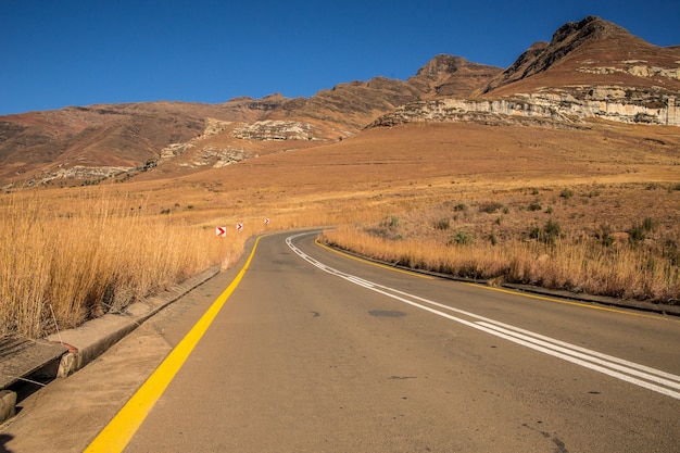 Free Photo wide angle shot of a road going on a mountain surrounded by bushes and dry grass