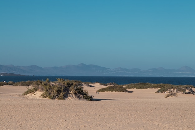 Free Photo wide angle shot of a sandy coastline with tranquil water