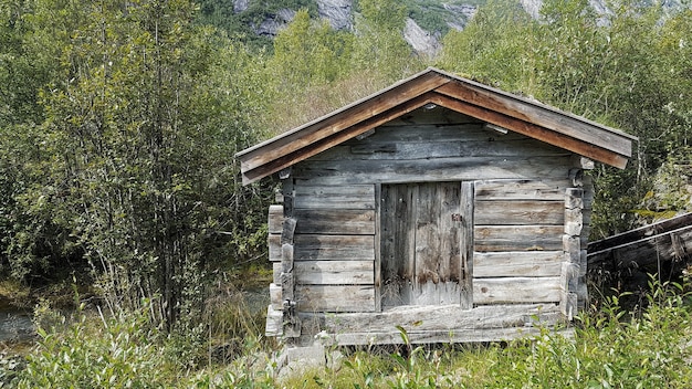 Wide angle shot of a small wooden house surrounded by trees